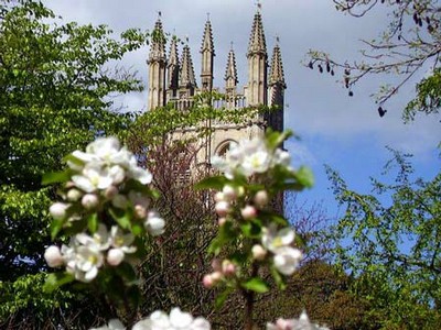 Magdalen Tower apple blossom