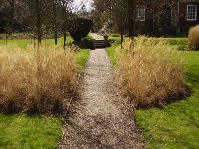 Grasses-path